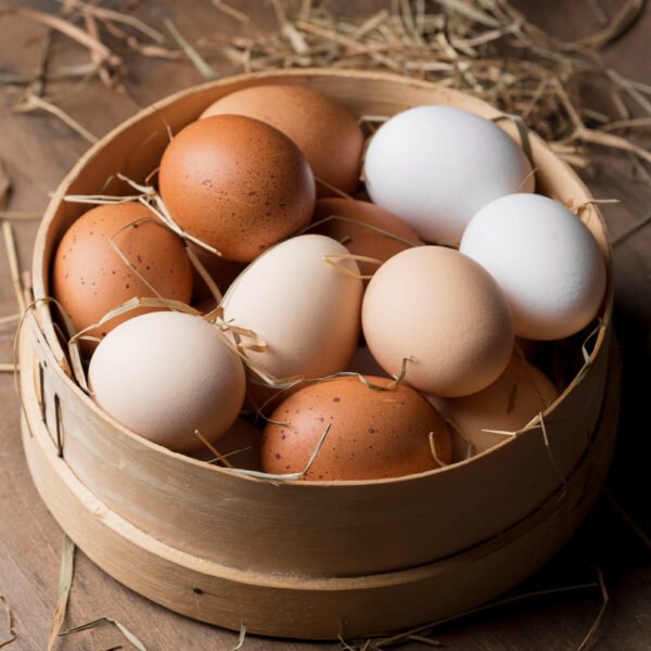 Organic Eggs